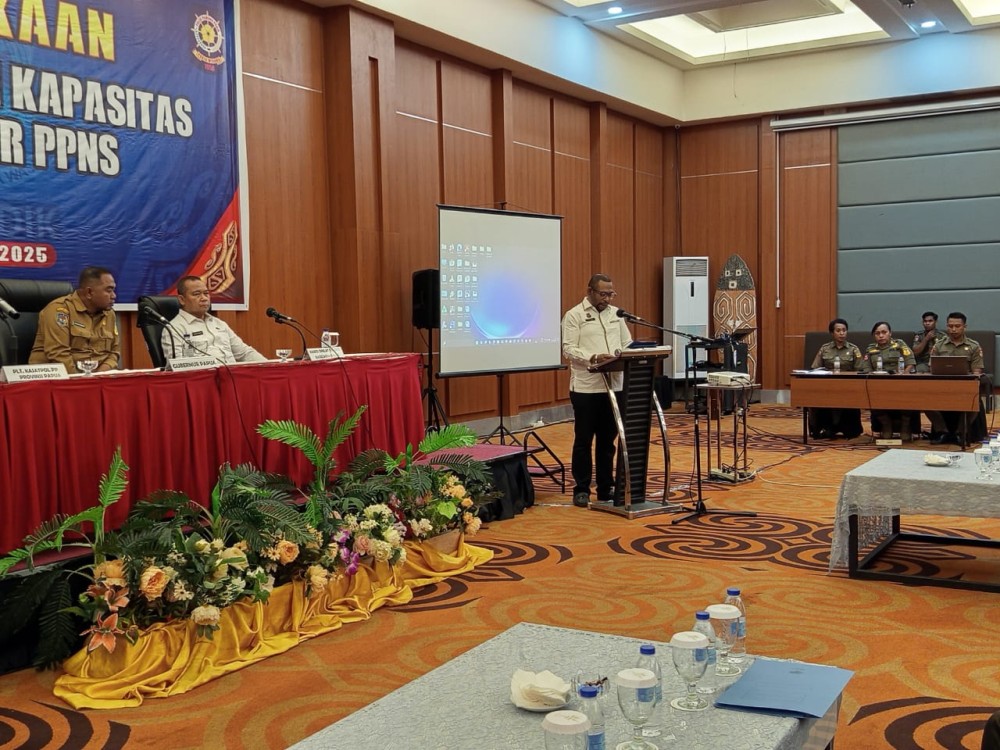PENGEMBANGAN KAPASITAS DAN KARIR PPNS