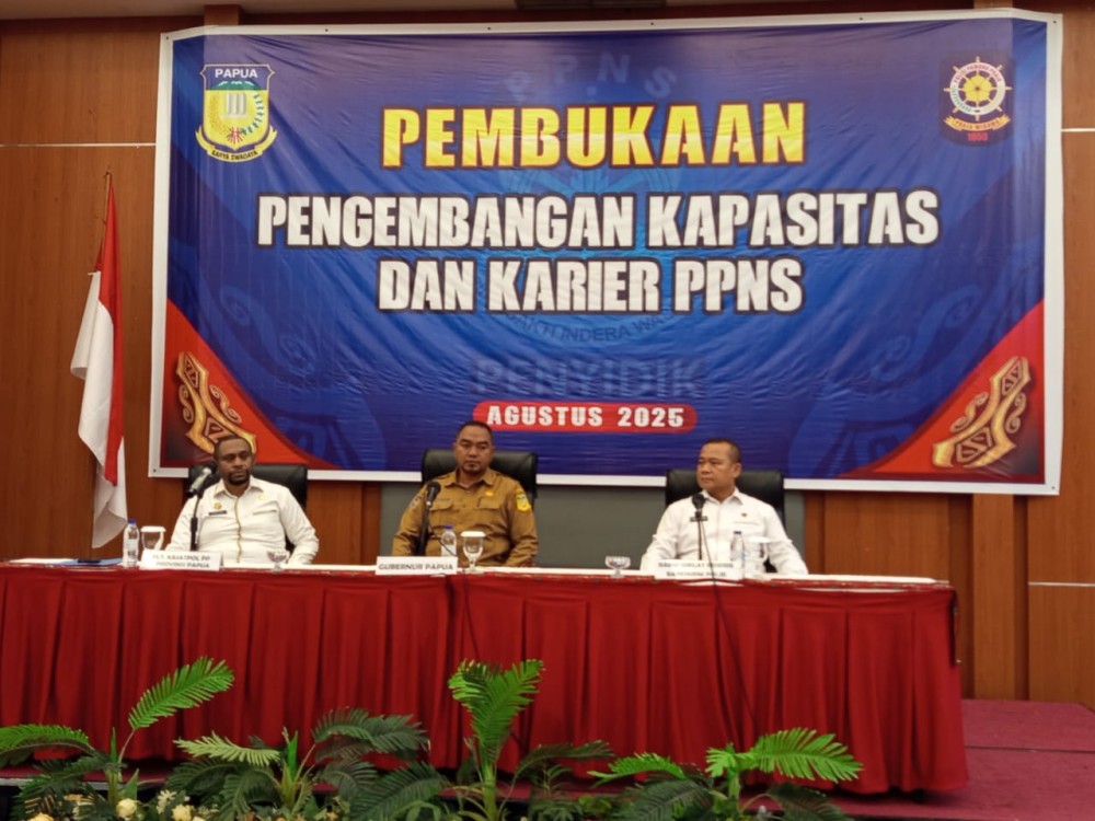 PENGEMBANGAN KAPASITAS DAN KARIR PPNS