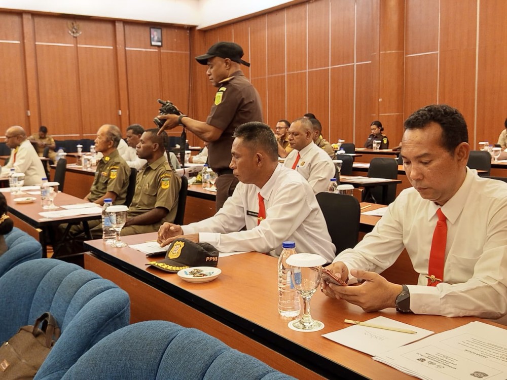 PENGEMBANGAN KAPASITAS DAN KARIR PPNS